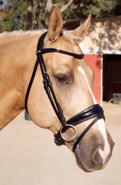 Outlet STUBBEN N.A. Stübben Patent Switch Combo Bridle Black/Black Patent