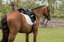 Best CUSTOM SADDLERY Steffen's Advantage Buffalo Single Flap Dressage Saddle