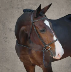 Best KINGS INTERNATIONAL Suffolk™ Classic Hunter Bridle Brown