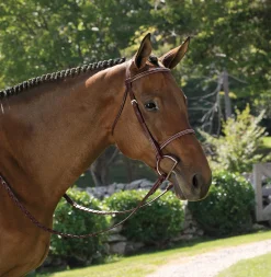 Best KINGS INTERNATIONAL Suffolk™ Classic Hunter Bridle Brown