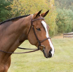 Best KINGS INTERNATIONAL Suffolk™ Classic Hunter Bridle Brown