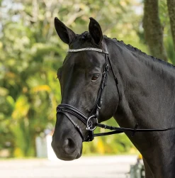Best KINGS INTERNATIONAL Suffolk™ Curved Browband