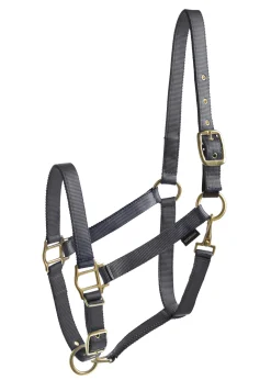 Online TEXT HORSE Suffolk™ Heavy Nylon Breakaway Halter with Fuse