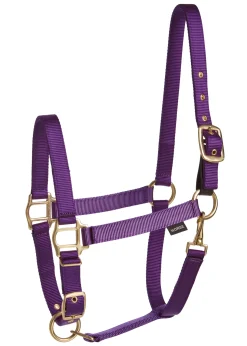 Online TEXT HORSE Suffolk™ Heavy Nylon Breakaway Halter with Fuse