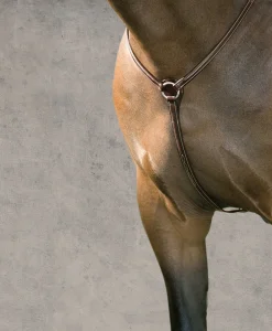 Online KINGS INTERNATIONAL Suffolk™ Hunter Breastplate