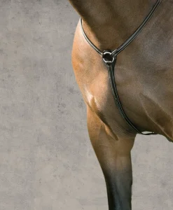 Online KINGS INTERNATIONAL Suffolk™ Hunter Breastplate