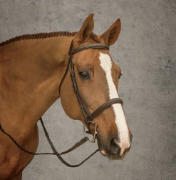 Online KINGS INTERNATIONAL Suffolk™ Hunter Bridle Oakbark