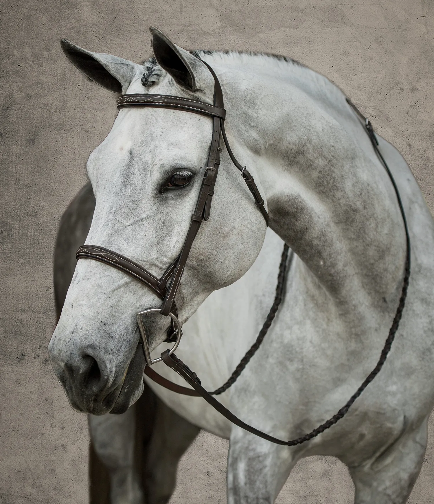Discount KINGS INTERNATIONAL Suffolk™ Hunter Fancy-Stitched Bridle