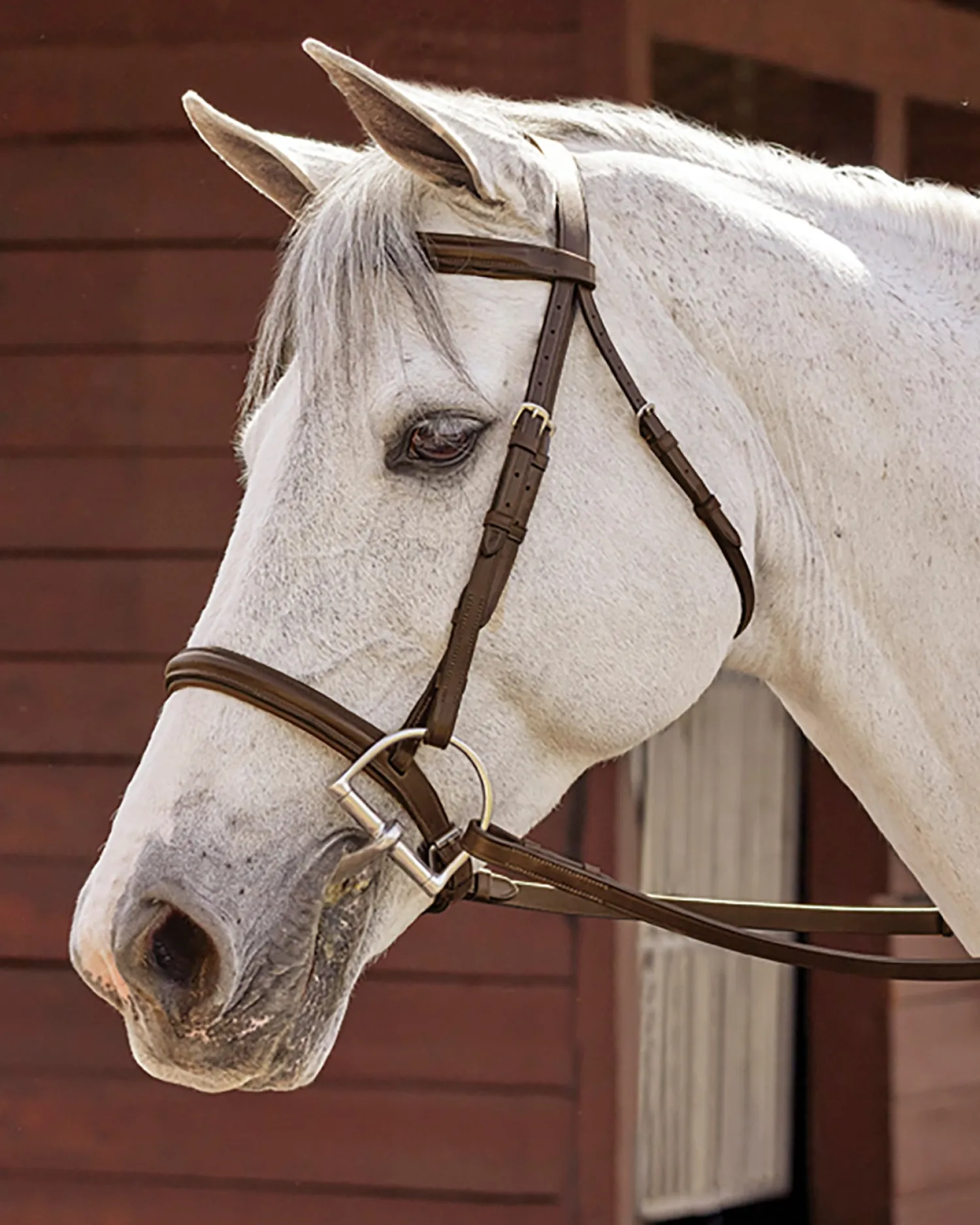 Discount KINGS INTERNATIONAL Suffolk™ Hunter Fancy-Stitched Bridle