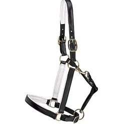 Outlet KINGS INTERNATIONAL Suffolk™ Lined Halter