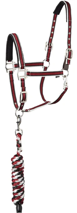 Online TEXT HORSE Suffolk™ Padded Striped Breakaway Halter & Lead