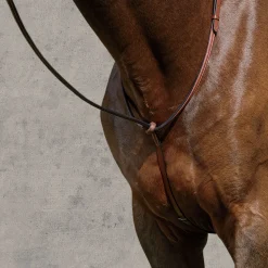 Hot KINGS INTERNATIONAL Suffolk™ Raised Standing Martingale Brown