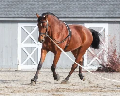 Online TEXT HORSE Suffolk™ Side Reins with Elastic Black