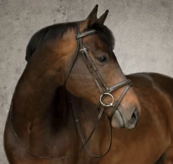 Sale KINGS INTERNATIONAL Suffolk™ Single Crown Flash Bridle Brown