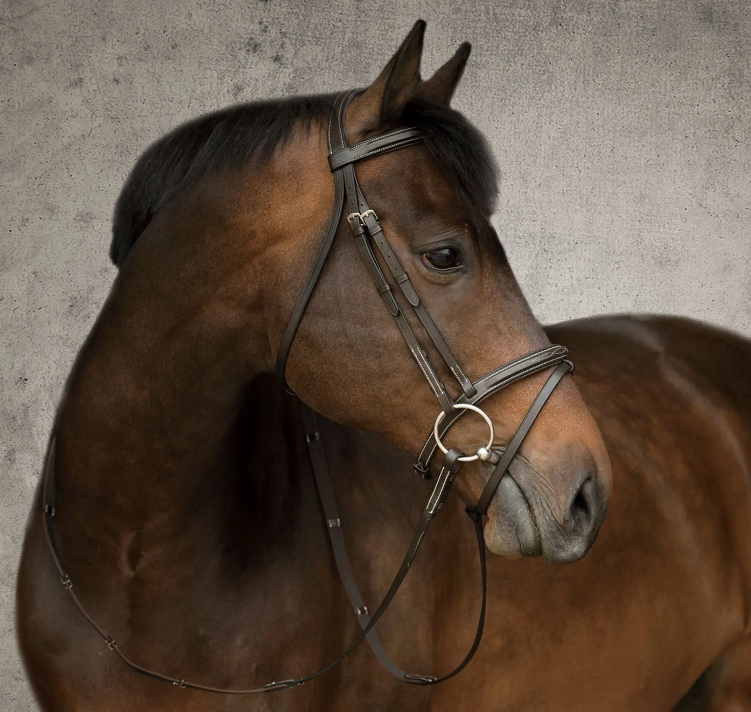 Sale KINGS INTERNATIONAL Suffolk™ Single Crown Flash Bridle Brown