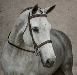 Discount KINGS INTERNATIONAL Suffolk™ Single Crown Hunter Bridle Oakbark
