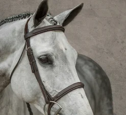 Discount KINGS INTERNATIONAL Suffolk™ Single Crown Hunter Bridle Oakbark
