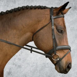 Outlet KINGS INTERNATIONAL Suffolk™ Single Crown Padded Dressage Bridle