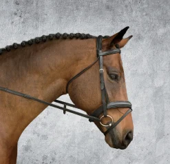 Outlet KINGS INTERNATIONAL Suffolk™ Single Crown Padded Dressage Bridle