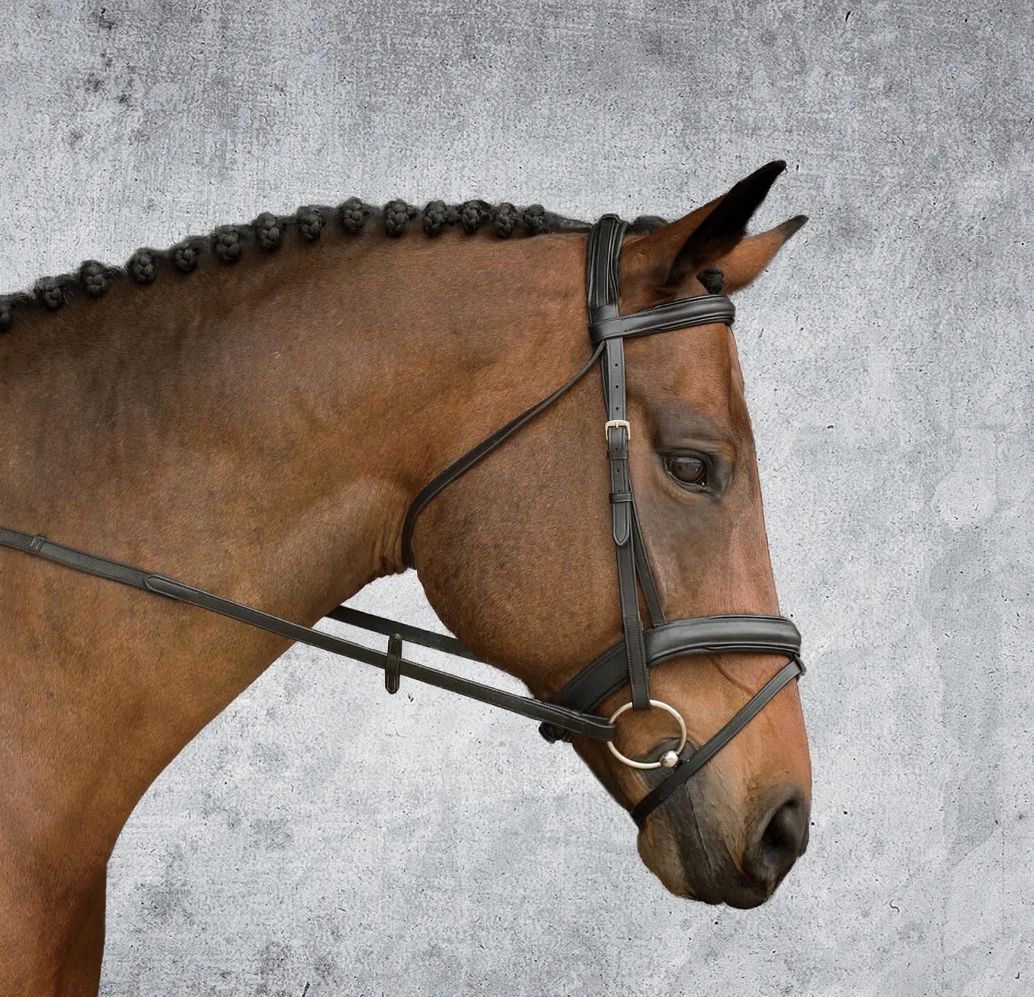 Outlet KINGS INTERNATIONAL Suffolk™ Single Crown Padded Dressage Bridle