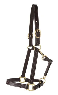 Best PUSHKAR INTL Suffolk™ Triple-Stitched Halter Brown
