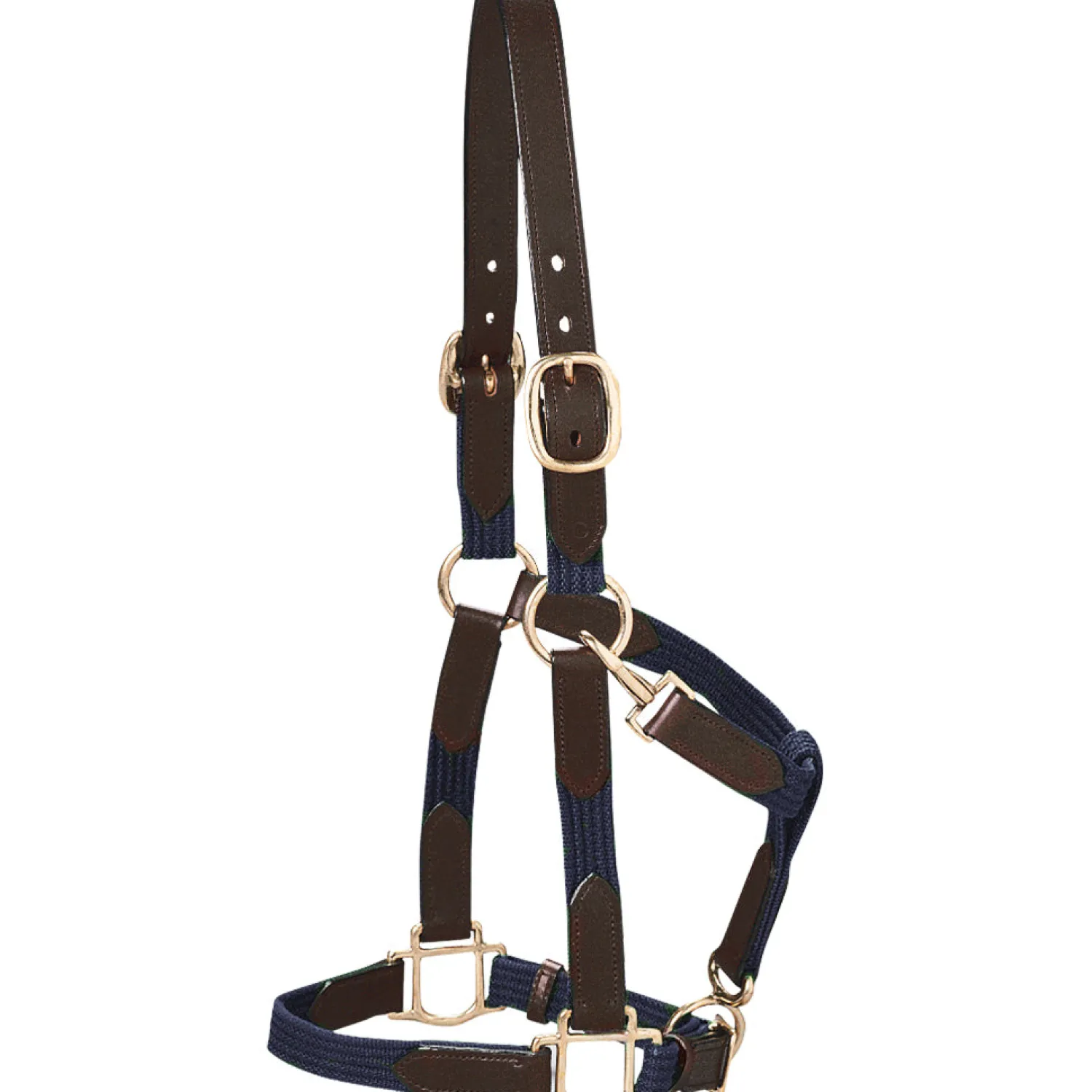 KINGS INTERNATIONAL Suffolk™ Web Halter