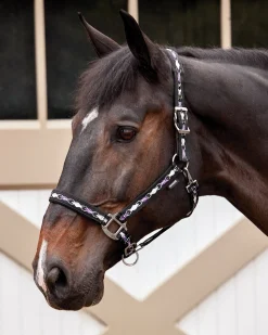 Sale TEXT HORSE Suffolk™ Woven Argyle Breakaway Halter