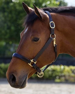 PUSHKAR INTL Suffolk™ Everyday Halter