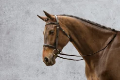 KINGS INTERNATIONAL Suffolk™ Single Crown Classic Dressage Bridle Black/Black