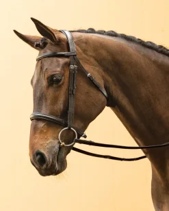 KINGS INTERNATIONAL Suffolk™ Single Crown Classic Dressage Bridle Black/Black