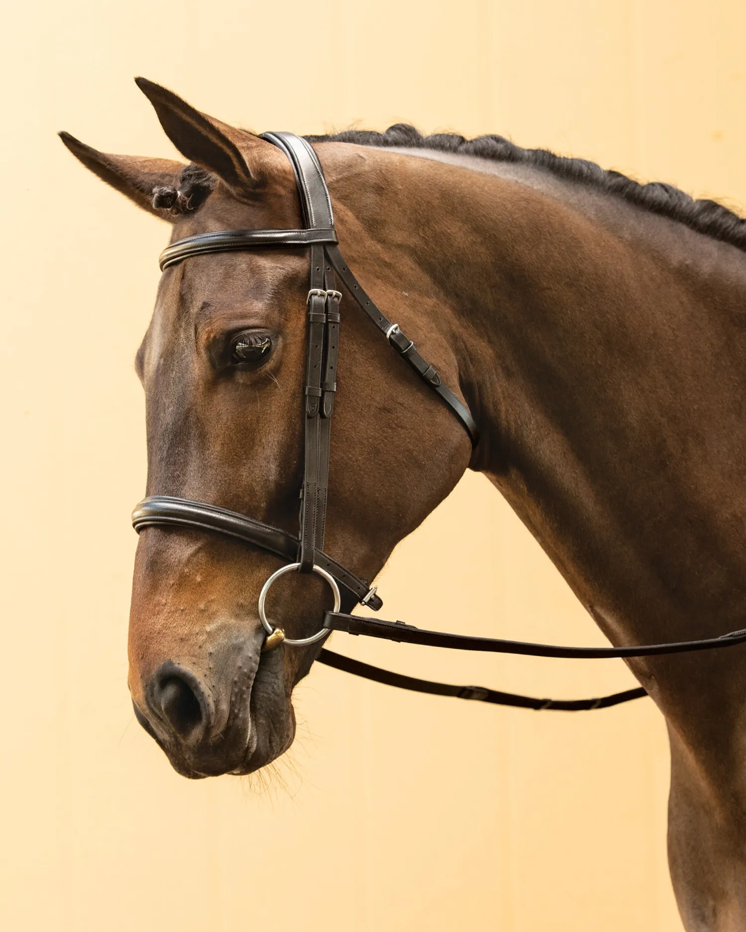 KINGS INTERNATIONAL Suffolk™ Single Crown Classic Dressage Bridle Black/Black