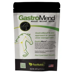 Clearance SYNNUTRA EQUINE ® GastroMend® Powder