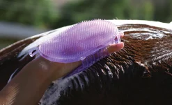 Online PROFESSIONALS CHOICE Tail Tamers® Jelly Scrubber Mitt