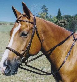 TORY LEATHER Company Breastplate Draw Reins Havana