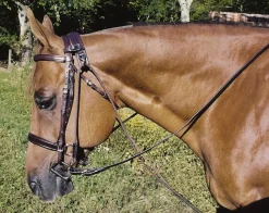 Hot TORY LEATHER Company Horse Size Chambon Havana