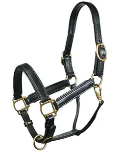 New TORY LEATHER Company Padded Leather Halter