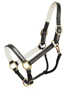 New TORY LEATHER Company Padded Leather Halter