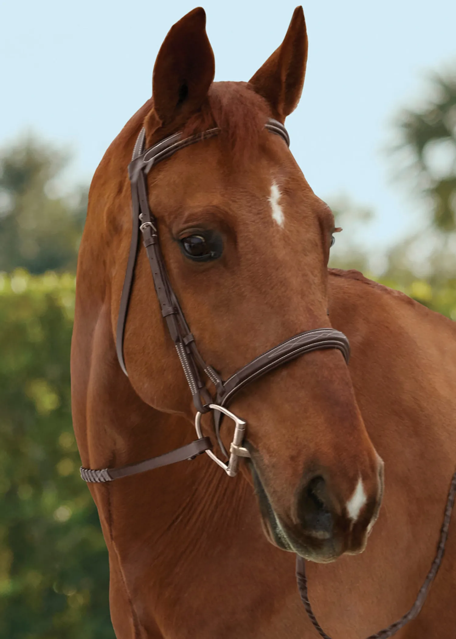 Hot KINGS INTERNATIONAL TRU-Fit™ Build-A-Bridle™ Fancy-Stitched Hunter Noseband Chocolate