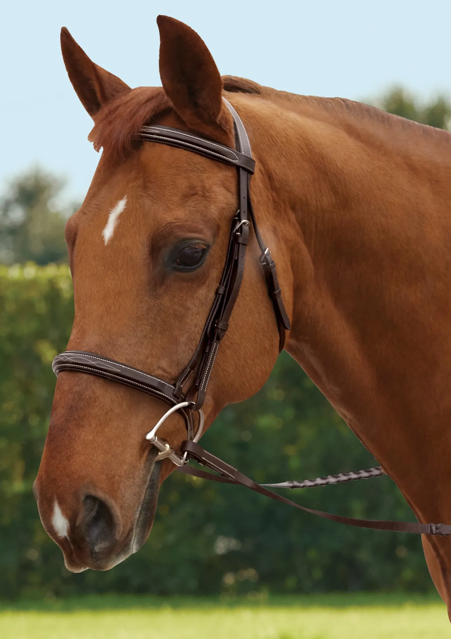 Hot KINGS INTERNATIONAL TRU-Fit™ Build-A-Bridle™ Fancy-Stitched Hunter Noseband Chocolate