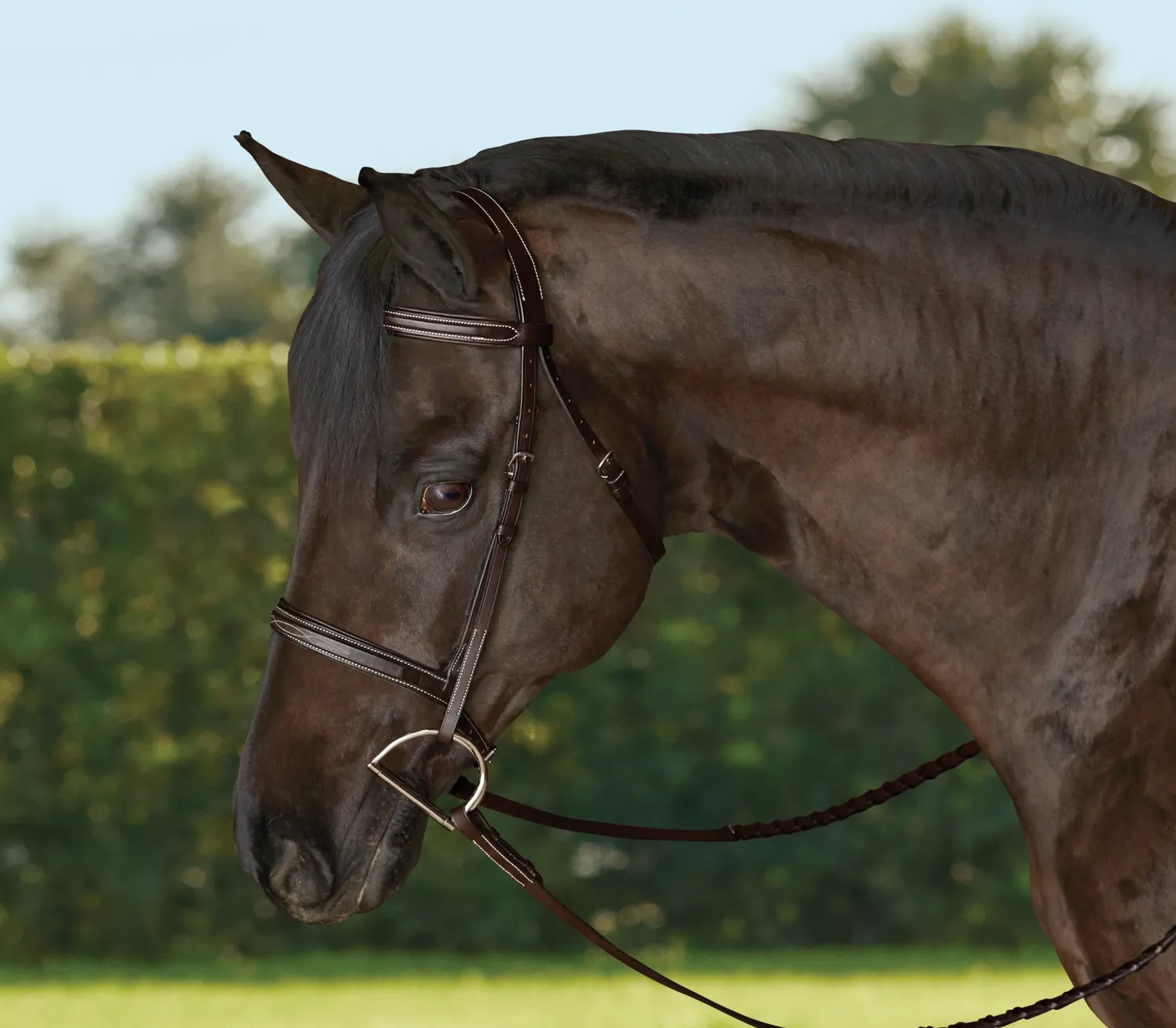 Hot KINGS INTERNATIONAL TRU-Fit™ Build-A-Bridle™ Fancy-Stitched Hunter Noseband Chocolate