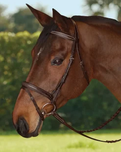 Outlet KINGS INTERNATIONAL TRU-Fit™ Build-A-Bridle™ Flash Noseband Chocolate