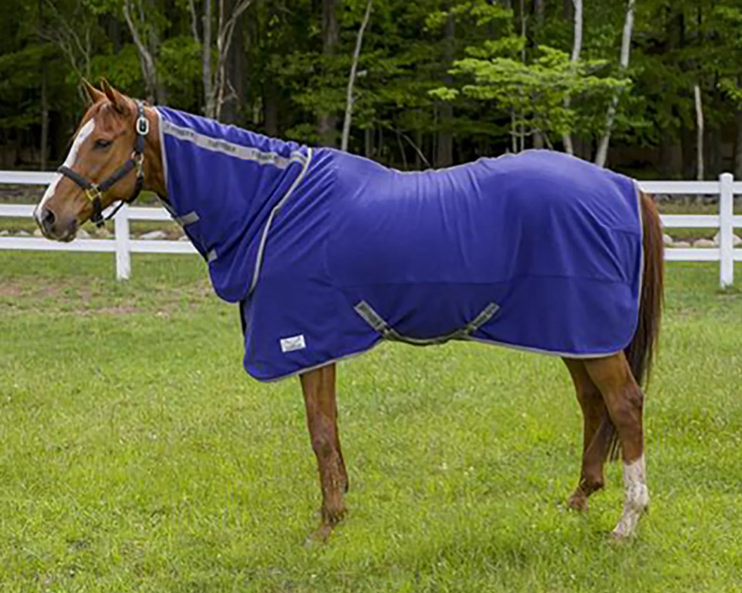 Online JPC EQUESTRIAN TuffRider® Cooler Sheet Combo