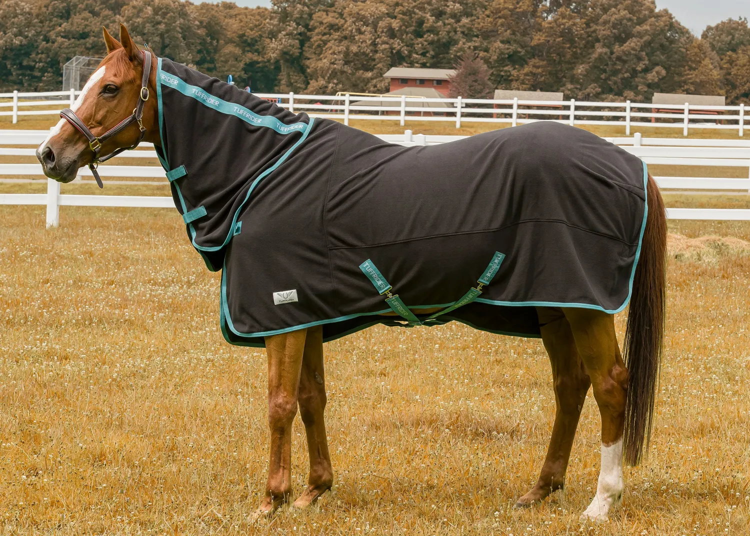 Online JPC EQUESTRIAN TuffRider® Cooler Sheet Combo