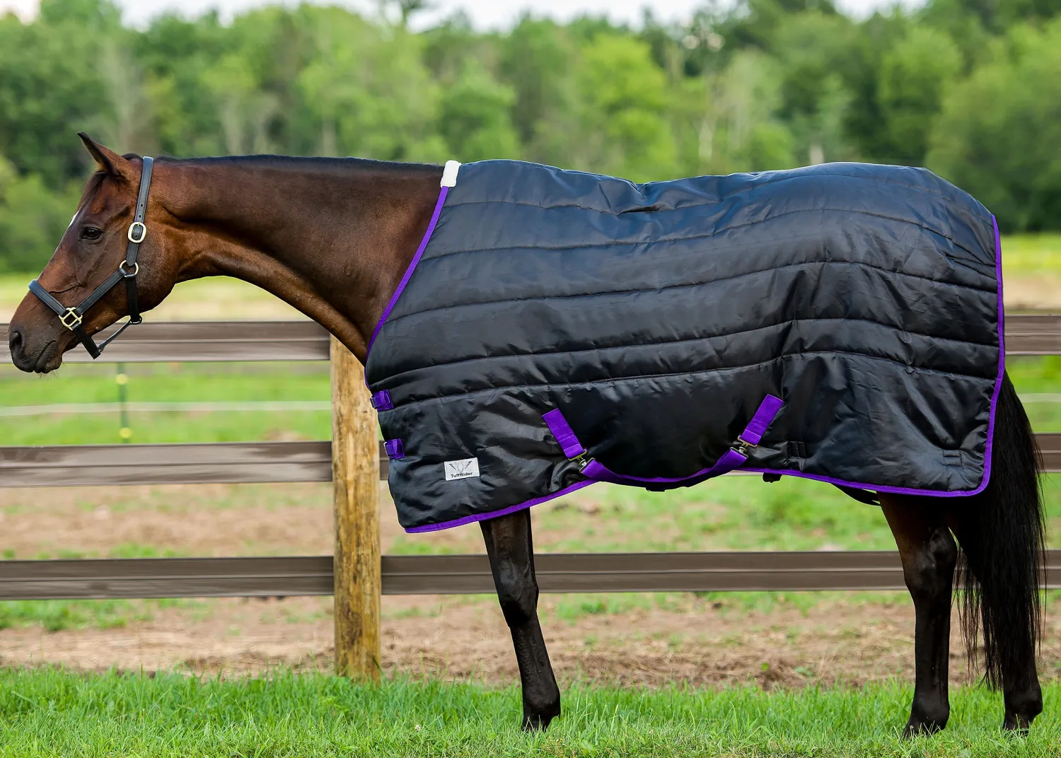 Best JPC EQUESTRIAN TuffRider® Kozy Komfort Stable Blanket