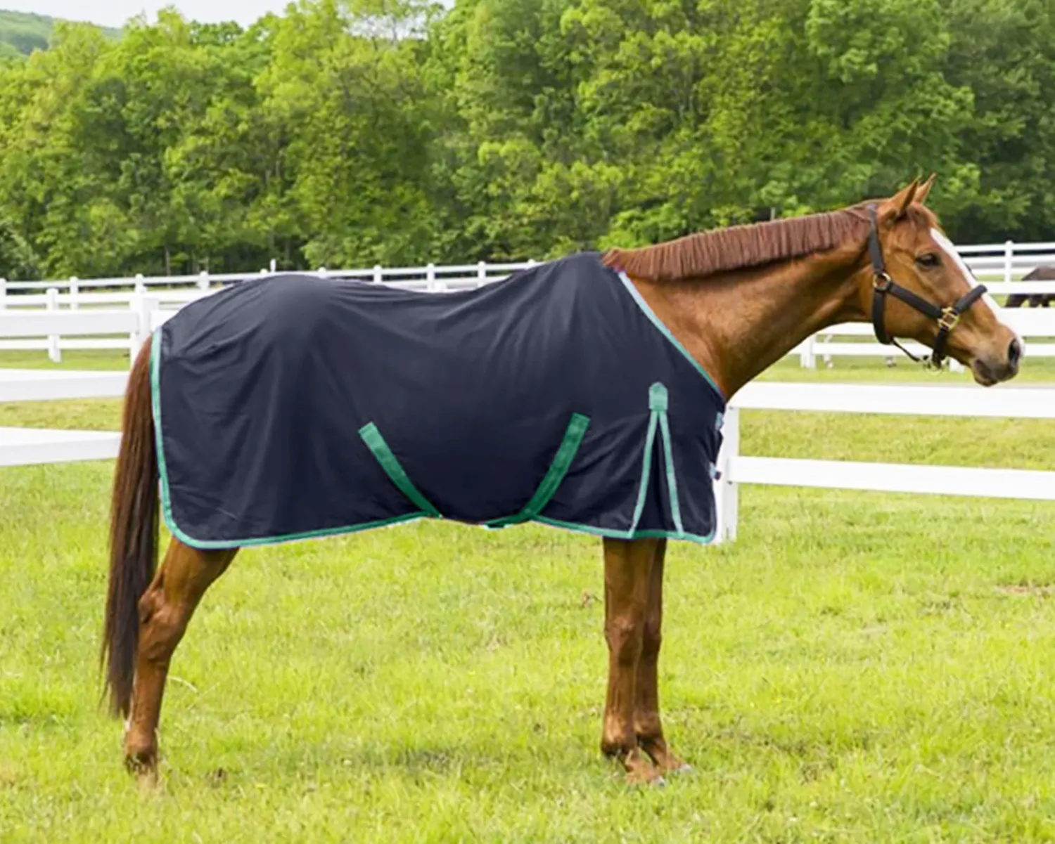 Outlet JPC EQUESTRIAN TuffRider® Kozy Komfort Stable Sheet