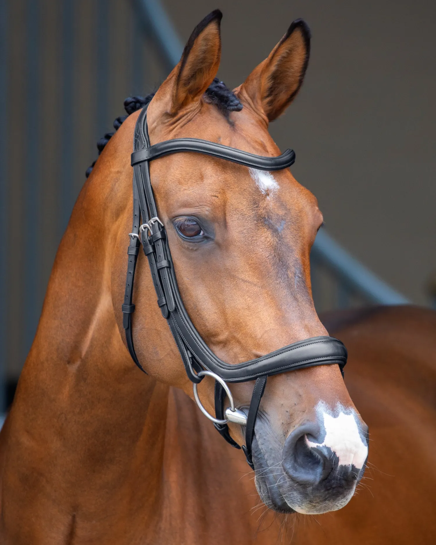 Outlet SHIRES EQUESTRIAN Velociti Lusso Ergonomic Curved Flash Bridle