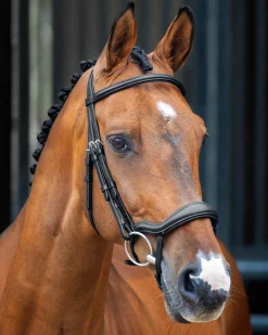 Online SHIRES EQUESTRIAN Velociti Lusso Ergonomic Flash Bridle