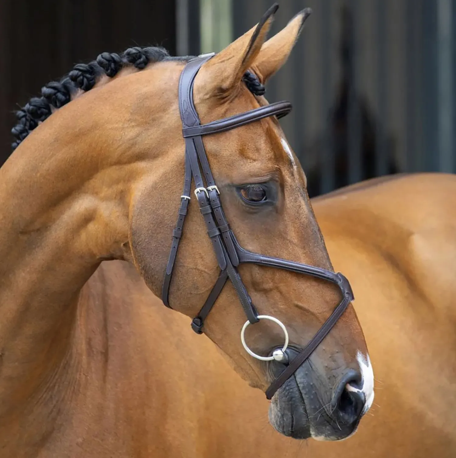 Outlet SHIRES EQUESTRIAN Velociti Lusso Grackle Bridle