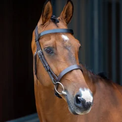 Clearance SHIRES EQUESTRIAN Velociti Lusso Hunter Caveson Bridle Havana