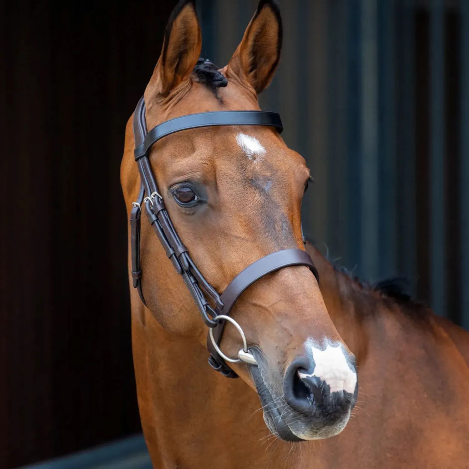 Clearance SHIRES EQUESTRIAN Velociti Lusso Hunter Caveson Bridle Havana